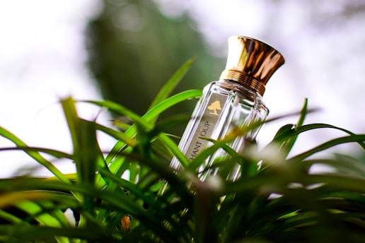 Elegant bottle of hair oil resting on a bed of green leaves with warm sunlight filtering through