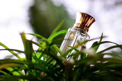 Elegant bottle of apple perfume resting on fresh green leaves
