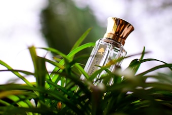 A bottle of perfume with a golden cap is nestled among lush green foliage. The bottle is clear with elegant text and logo on its front. Bright, natural light from the background creates a vibrant and fresh ambiance.