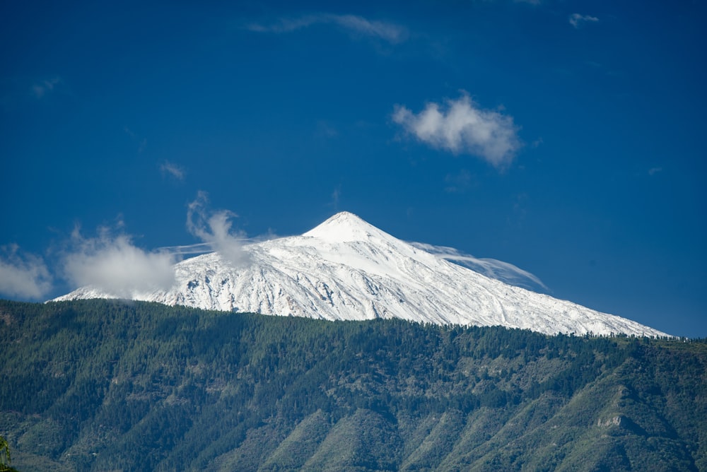 grass and snow covered mountains