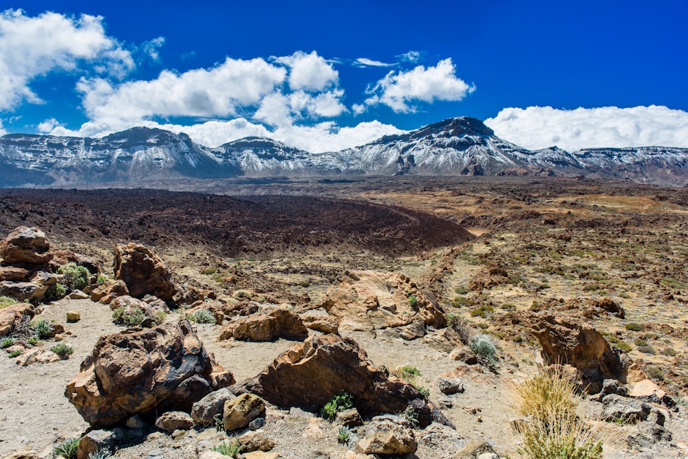 brown field viewing mountain covered with snow under blue and white skies