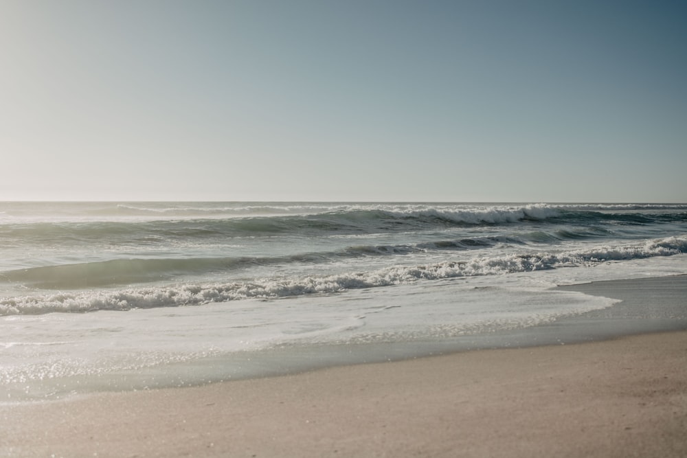 seashore during daytime