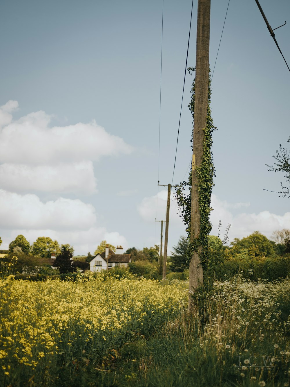 line post near house at rural area