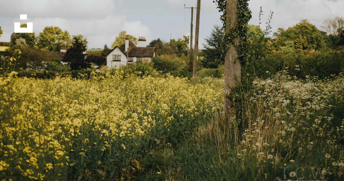 Line Post Near House At Rural Area Photo Free Field Image On Unsplash line-post-near-house-at-rural-area-photo-free-field-image-on-unsplash