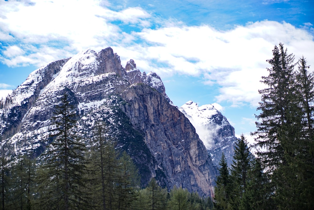 mountain covered with snow surrounded with tall and green trees under blue and white skies