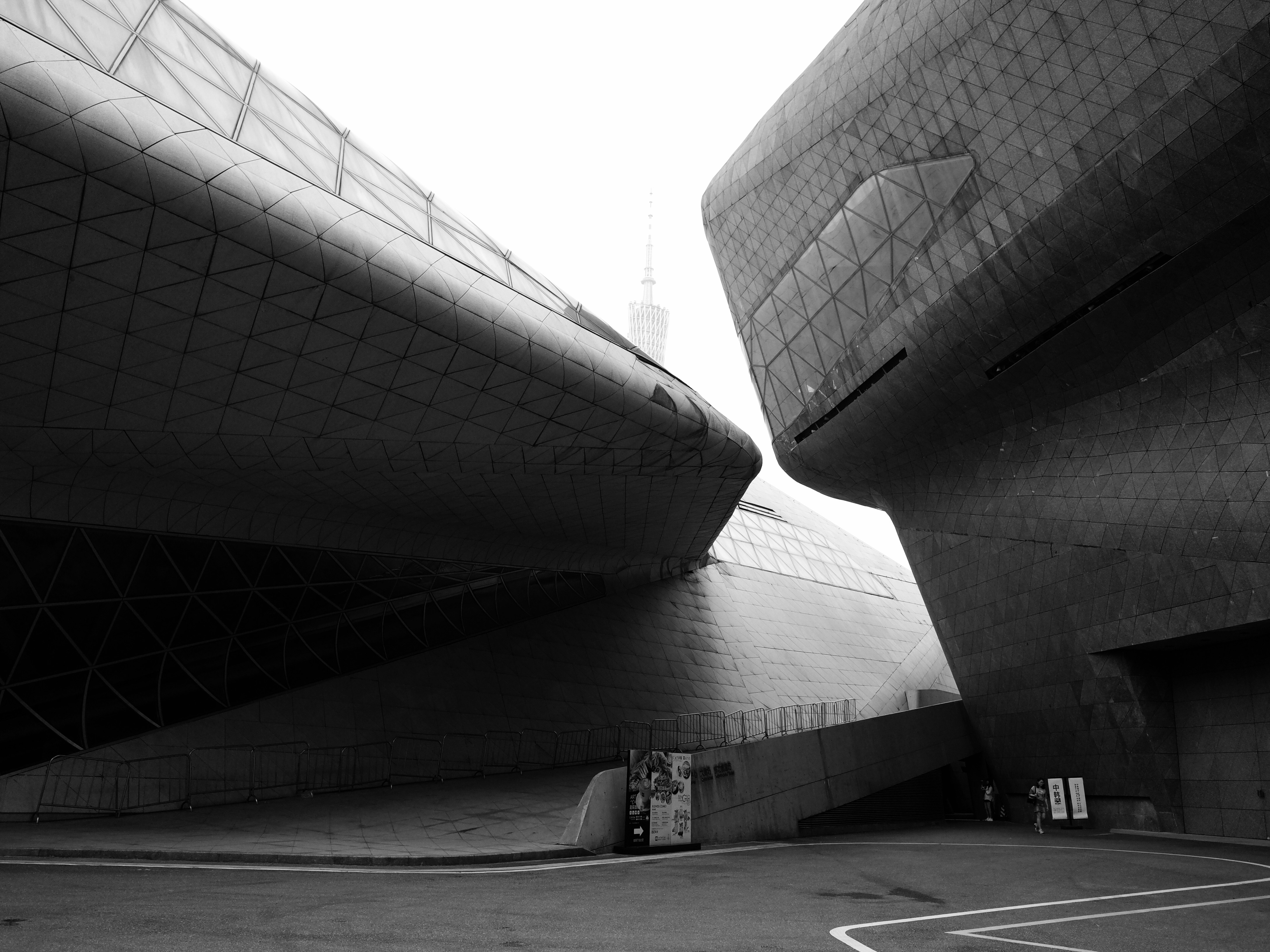 Photo by wangniannnn