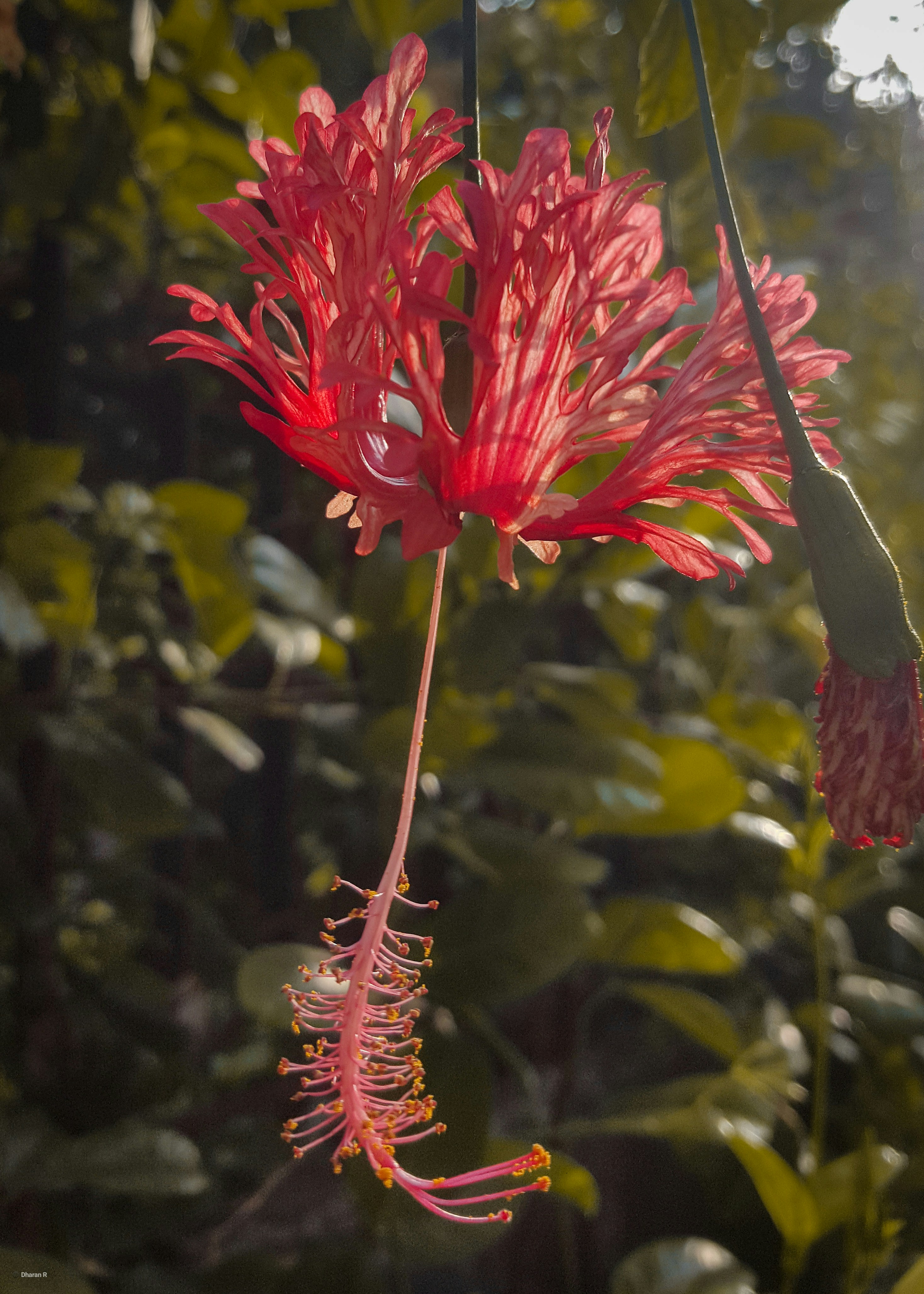dharaneeswaran-r-dharan24-unsplash-photo-community