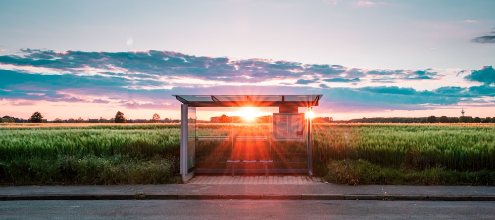 waiting shed at the farm during golden hour