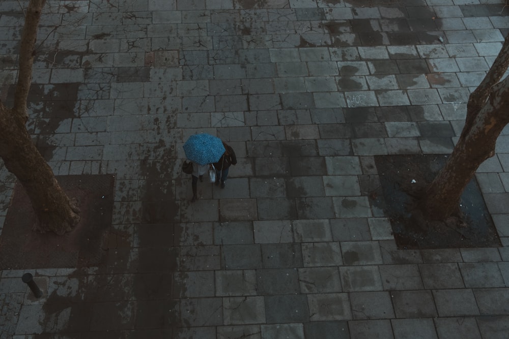 Persona che tiene l'ombrello blu