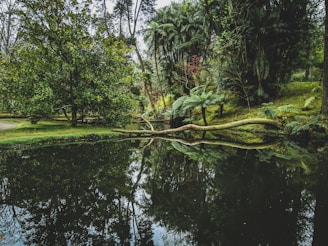 body of water at the greenery park