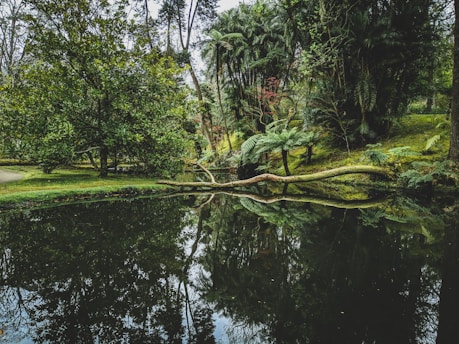 body of water at the greenery park