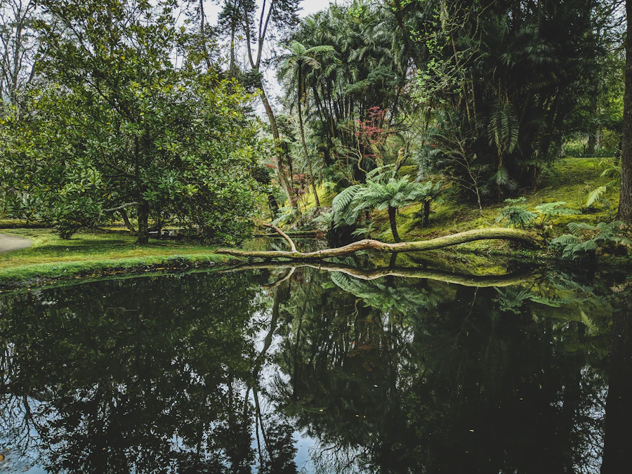 Parque Terra Nostra ve Furnas