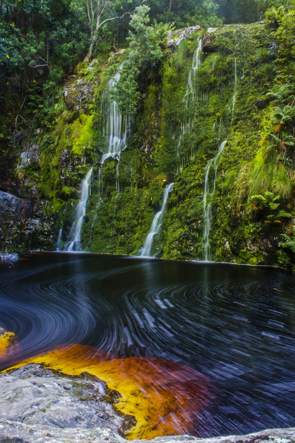 cascadas en la montaña de hierba