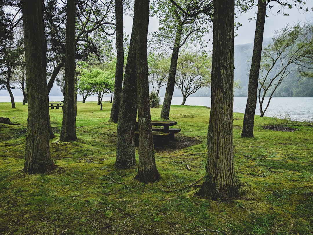 Nature reserve photo spot Garden of the Blue Lagoon Sete Cidades