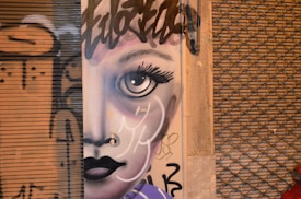 A detailed graffiti artwork featuring a stylized portrait of a face with large expressive eyes and flowing hair. The artwork is painted on a metal or wooden surface flanked by a corrugated shutter on one side and a textured wall on the other, both also featuring graffiti and tags.