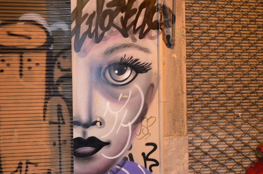 A detailed graffiti artwork featuring a stylized portrait of a face with large expressive eyes and flowing hair. The artwork is painted on a metal or wooden surface flanked by a corrugated shutter on one side and a textured wall on the other, both also featuring graffiti and tags.