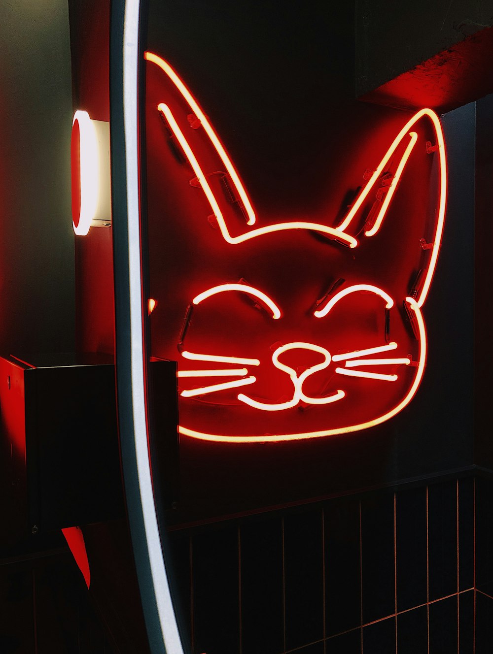 cat head neon sign