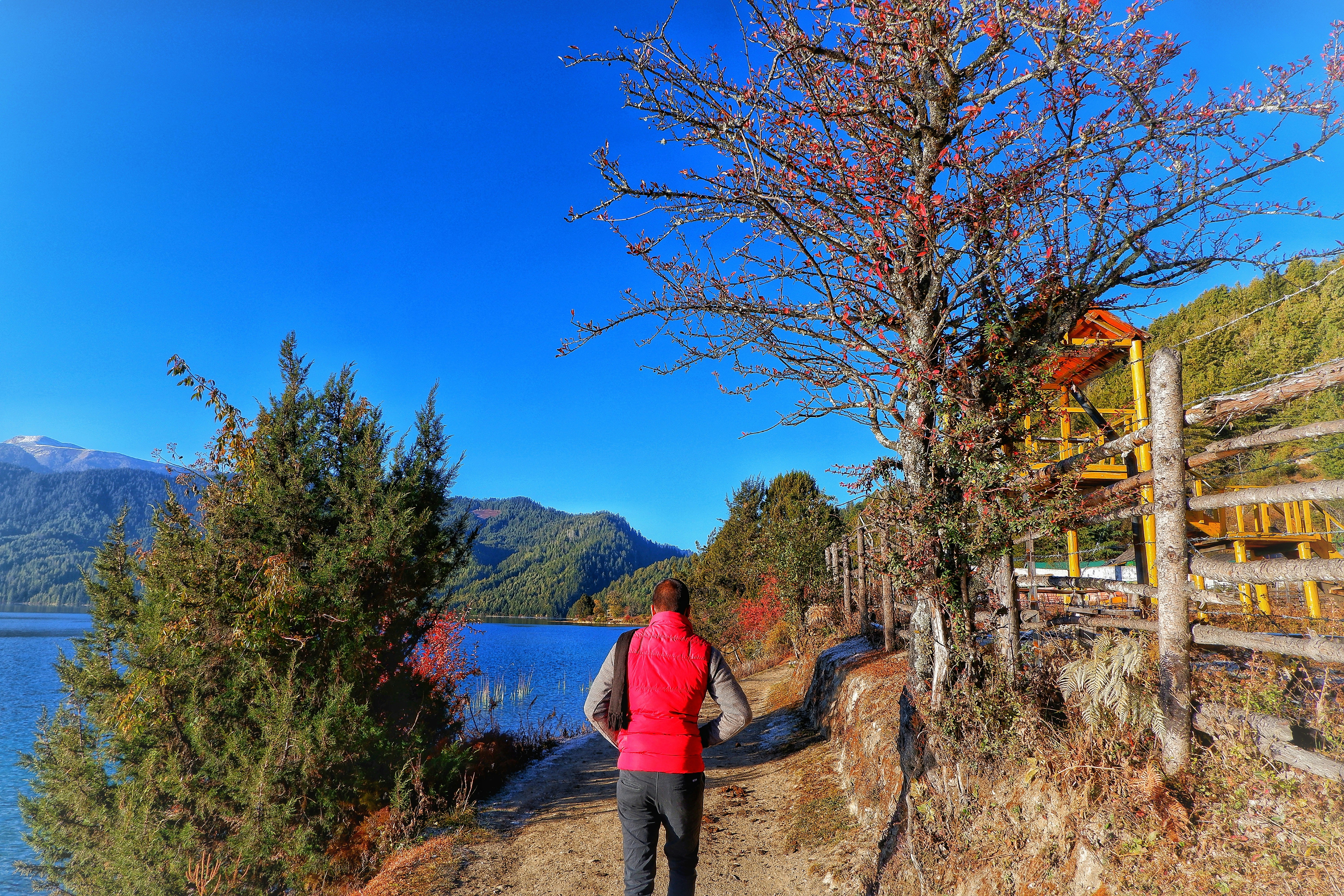 Rara Lake, Nepal - Rara Lake