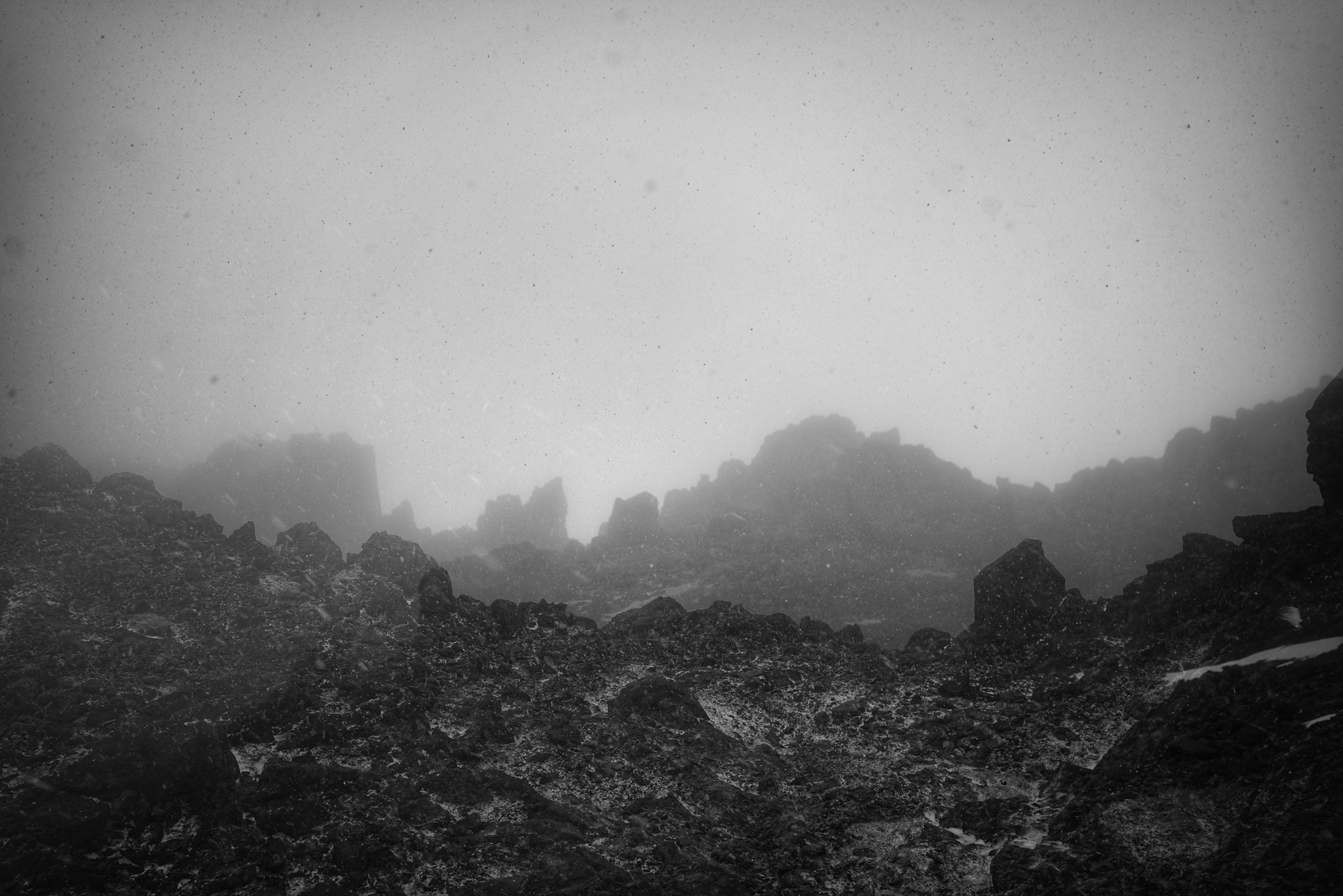 Photo by tomasrobertson