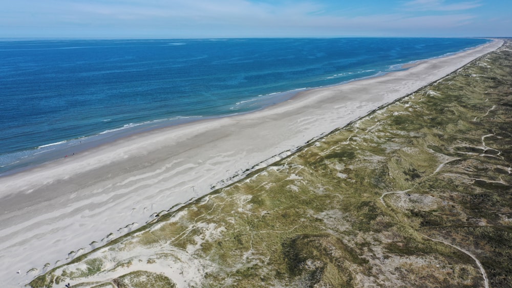 beach during daytime