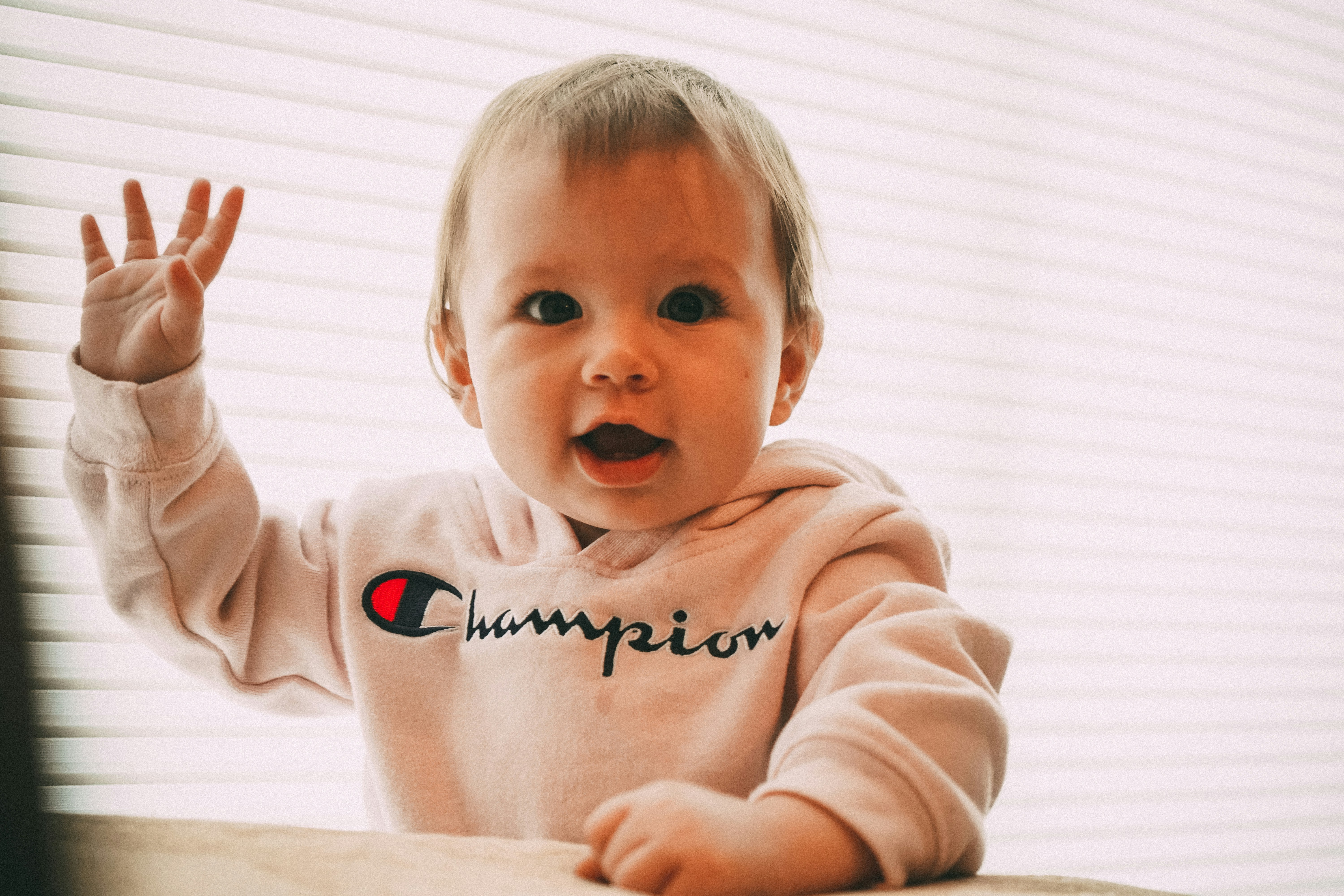 champion infant hoodie