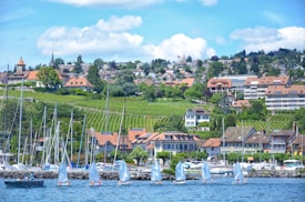 A picturesque lakeside town features charming houses with brown rooftops surrounded by lush green vineyards. Sailboats are docked at the waterfront, while small white sailing boats, each manned by a single person, float serenely in the foreground. The landscape is framed by a backdrop of trees and a bright blue sky dotted with fluffy white clouds.