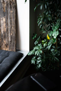 A cozy wooden bench stool placed in a sunlit corner with soft cushions.