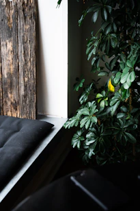 A serene corner with plants and cushions, reflecting a warm and welcoming atmosphere.