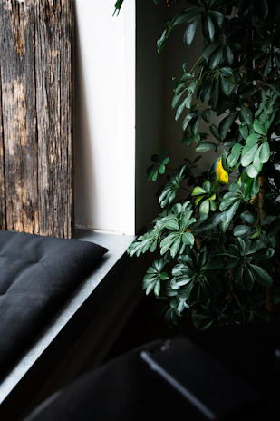 A cozy wooden bench stool with a soft cushion placed in a sunlit corner.