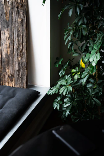 A cozy wooden bench stool with a soft cushion placed in a sunlit corner.