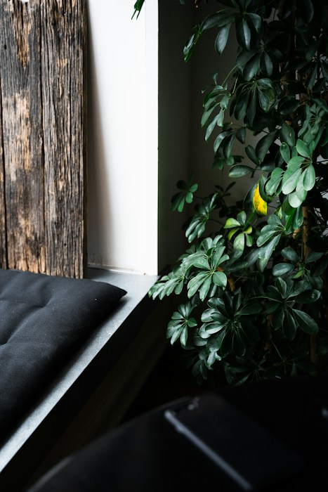 Photo 1557941518 B1e6828cd56f?q=85&w=1500&h=700&fit=crop