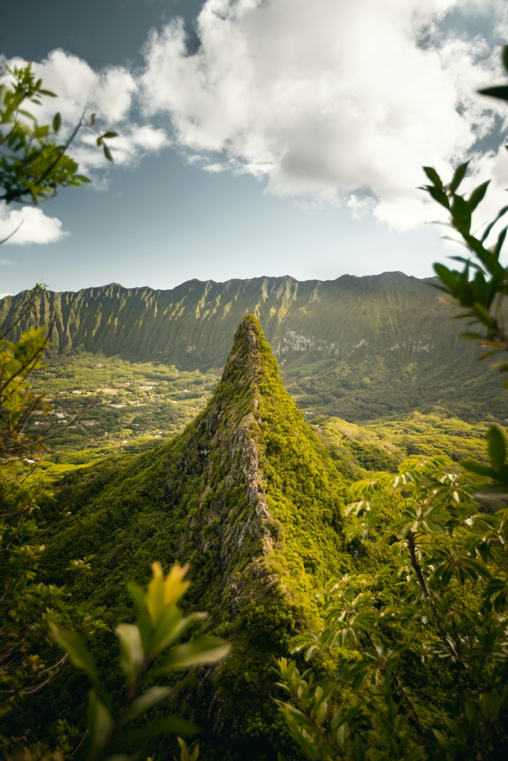 Fotografía de paisaje de montaña rodeada de árboles