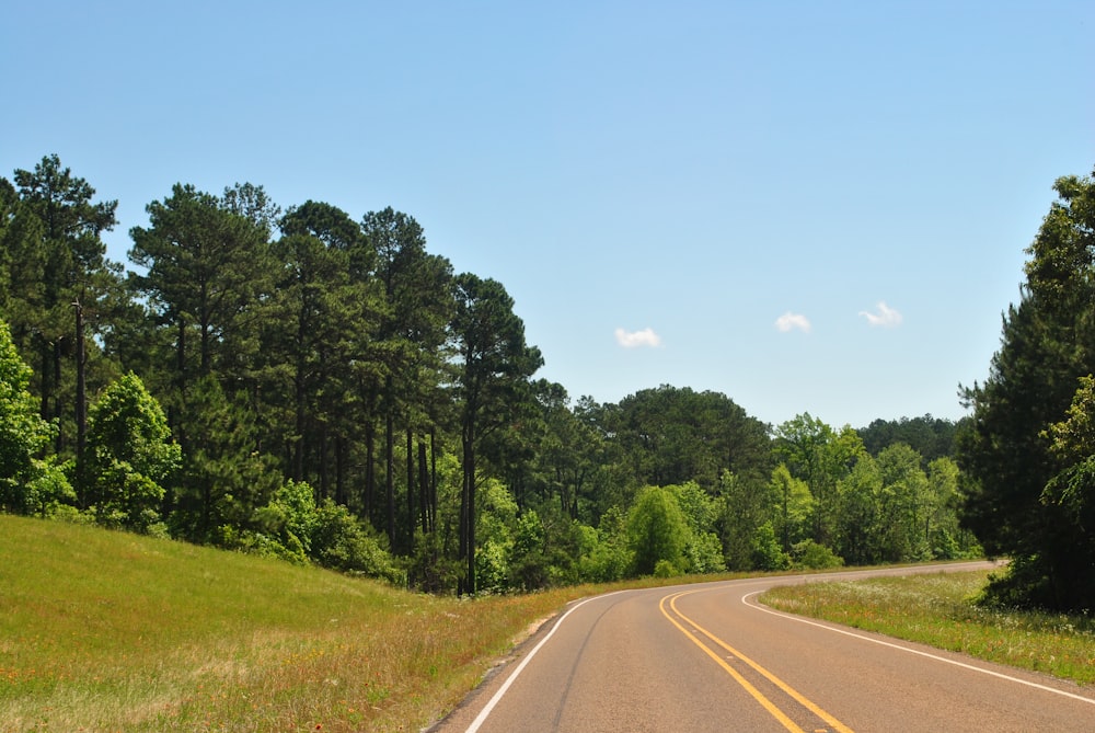 green trees near road during daytime