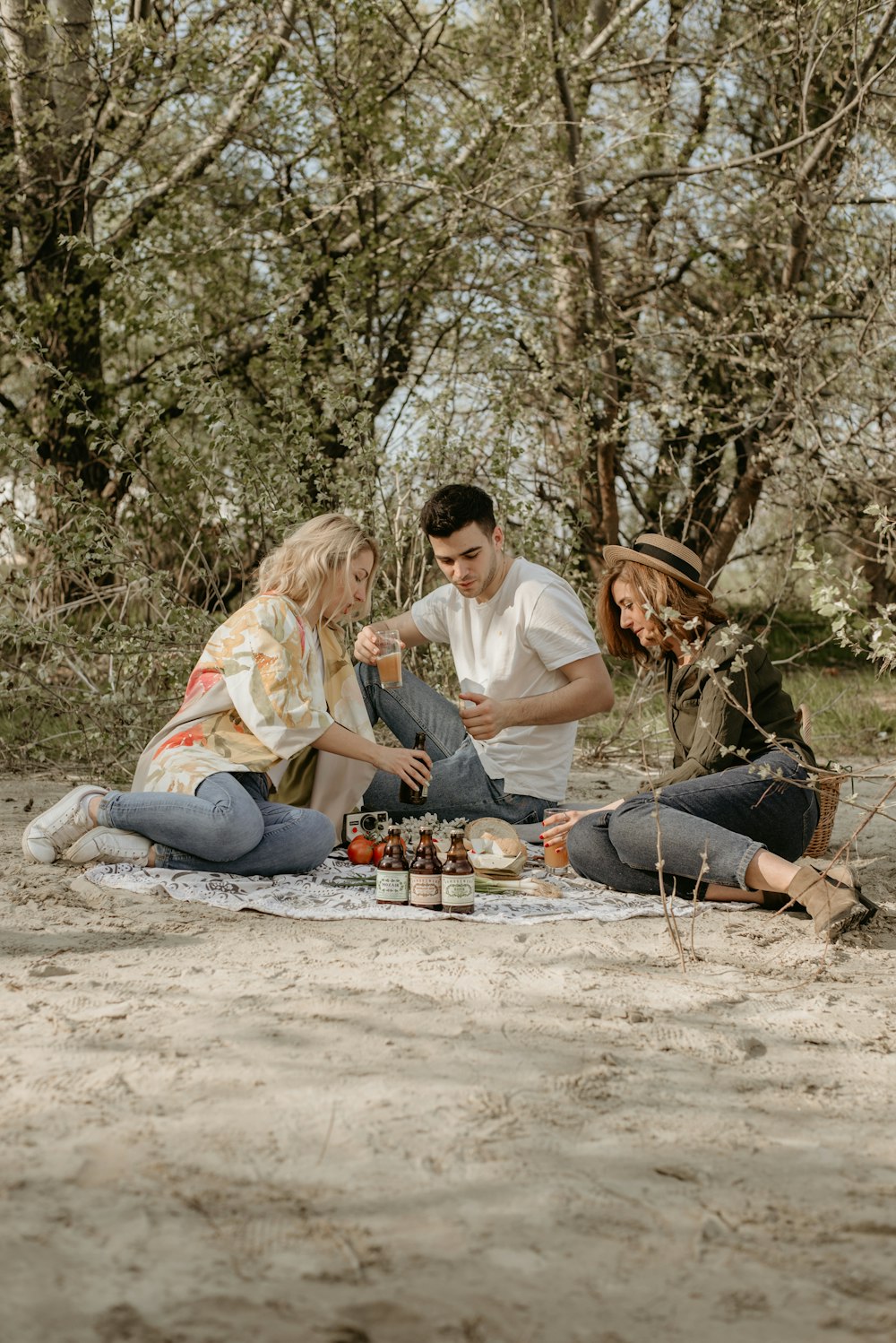 people doing picnic during daytime