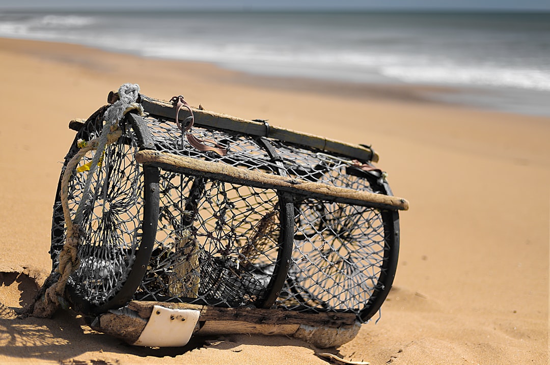 selective focus photography of cylindrical black cage on seashore