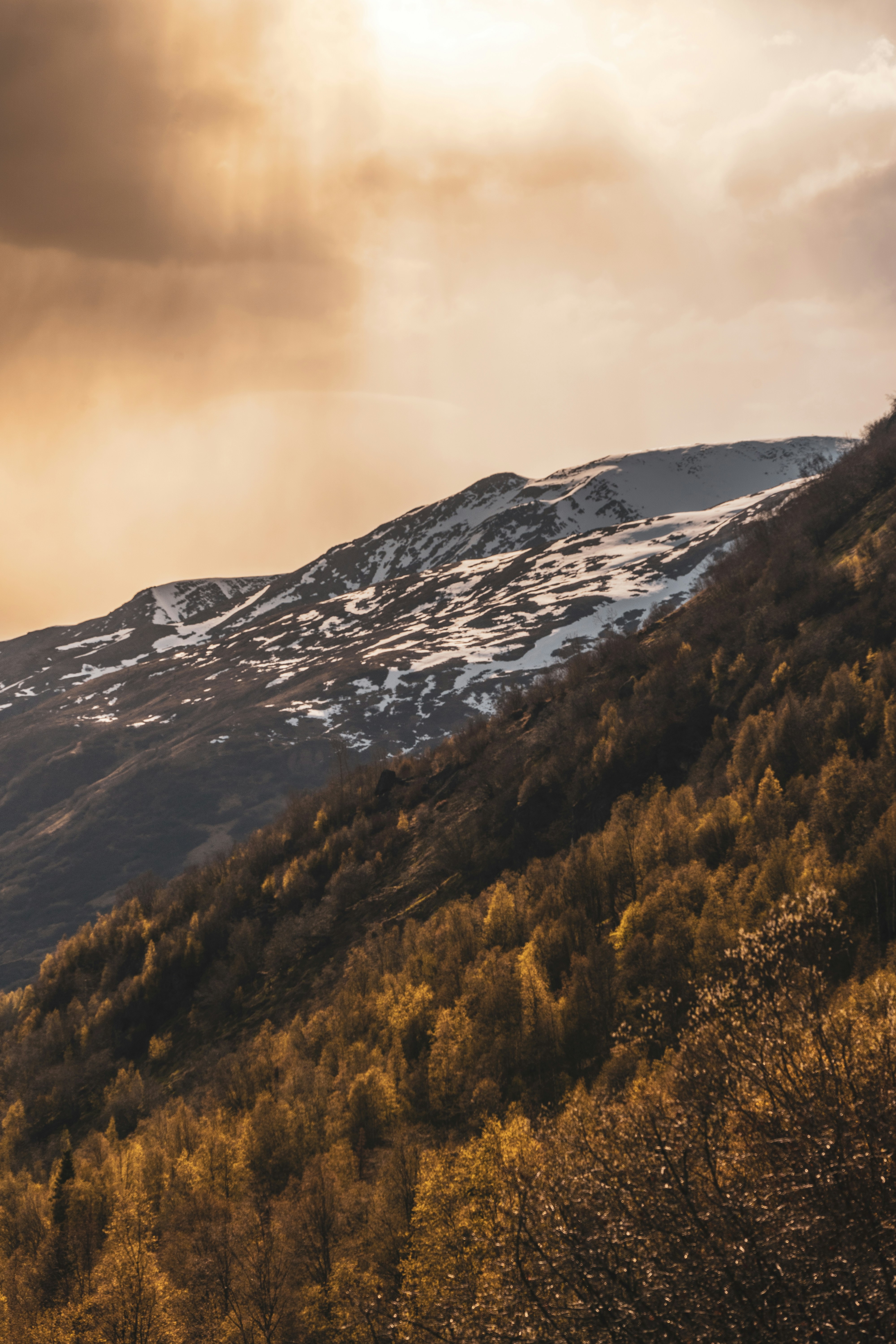 Photo by jaron_mobley