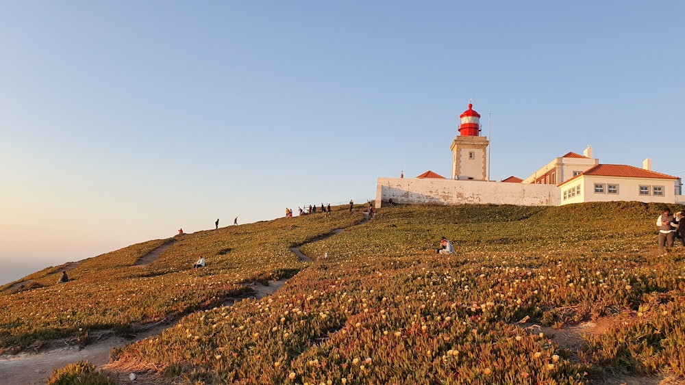 lighthouse during daytime