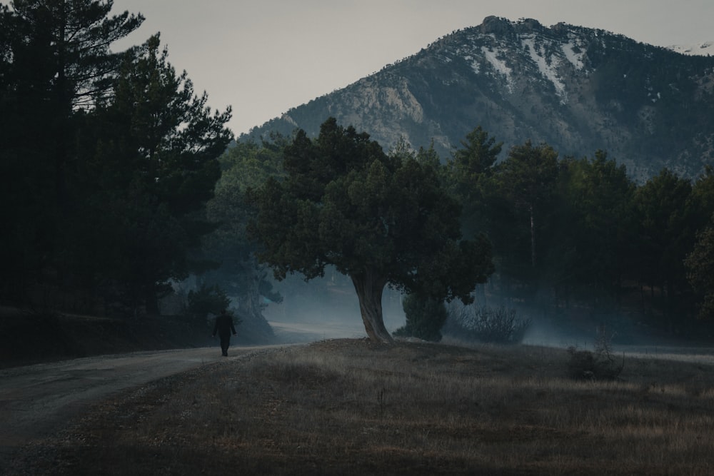 man near trees