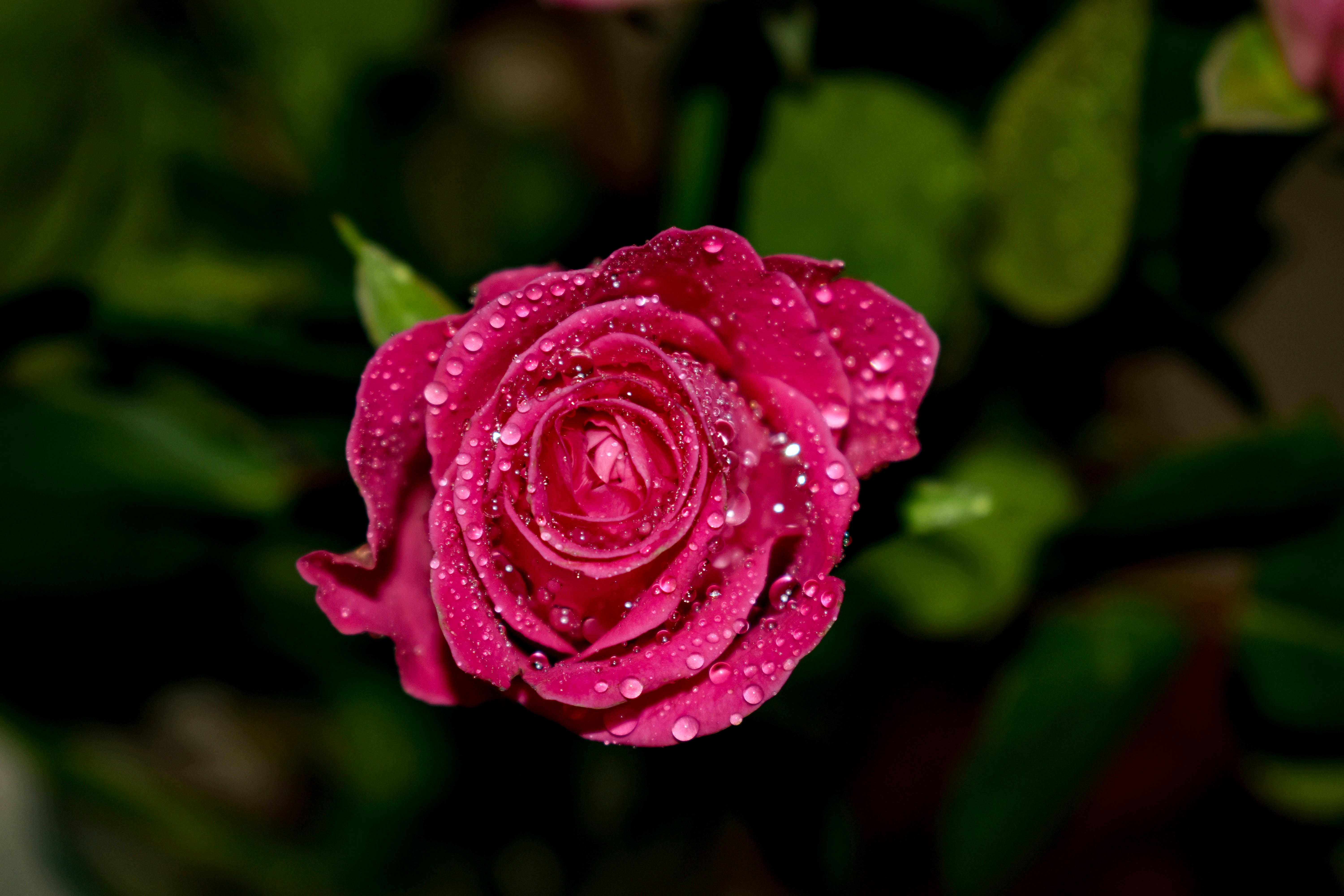 Photo by fotografgabriel