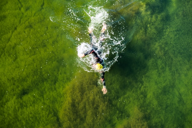 A swimmer wearing a wetsuit and a yellow swim cap is moving through water filled with green aquatic vegetation, creating splashes and ripples around themselves.