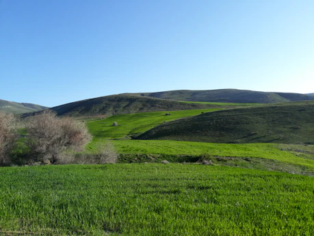 Lush green fields with people tending to crops and caring for animals under a bright sky.
