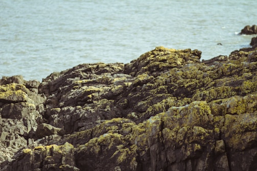 A rugged coastal landscape is depicted, featuring dark, jagged rocks covered with yellow lichen. The rocks appear weathered and textured, creating a natural, rustic aesthetic. In the background, the calm sea extends into the distance, contributing a contrasting smoothness to the rough terrain.