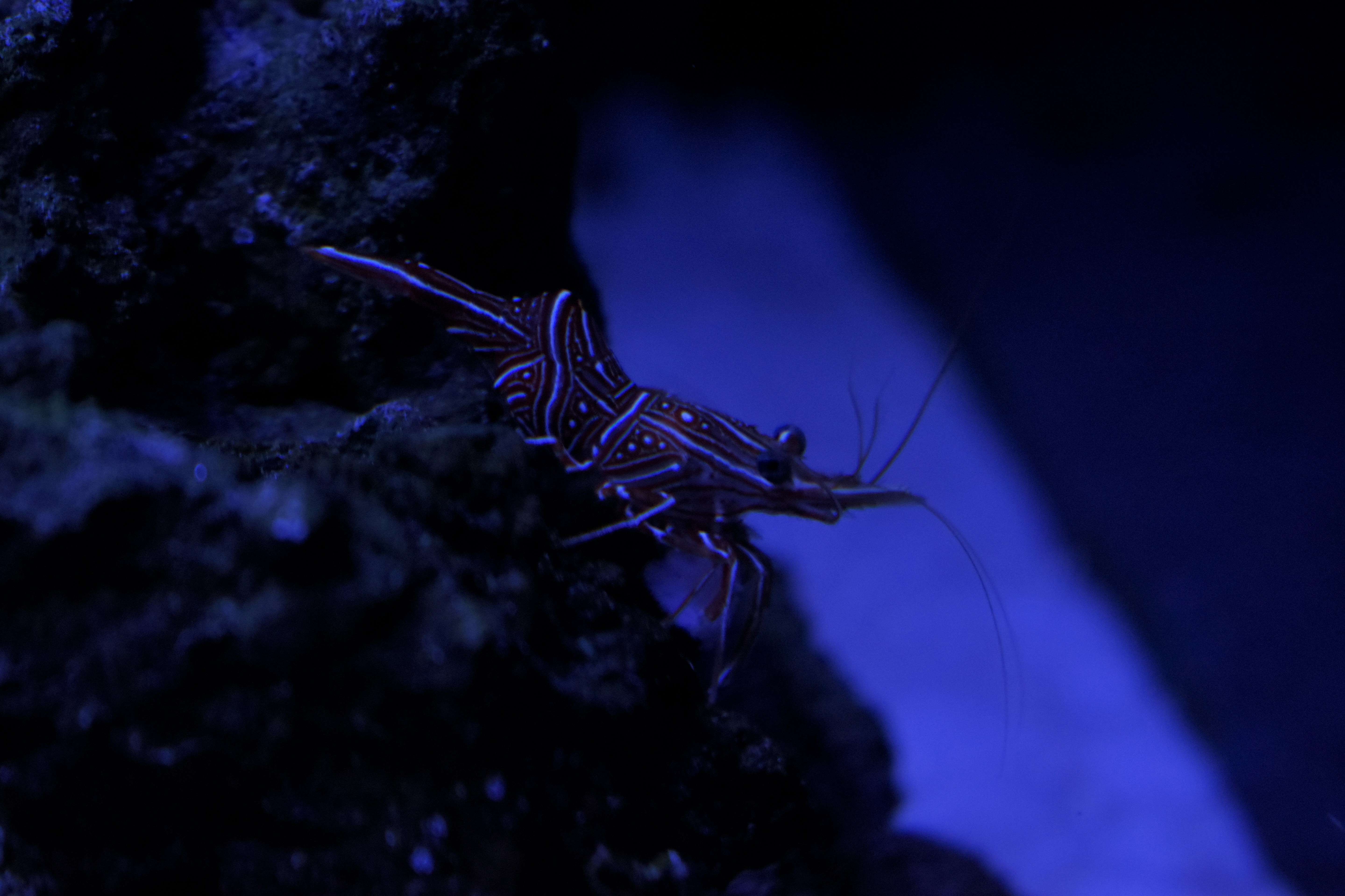 Why Second Cities Are Winning Now