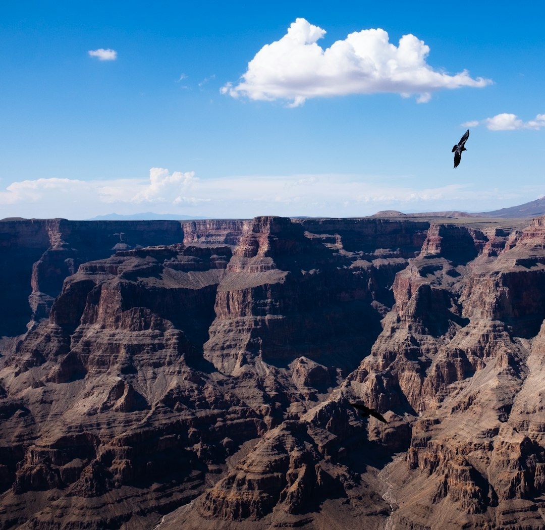 rocky mountain photography