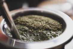 green herb in silver pot