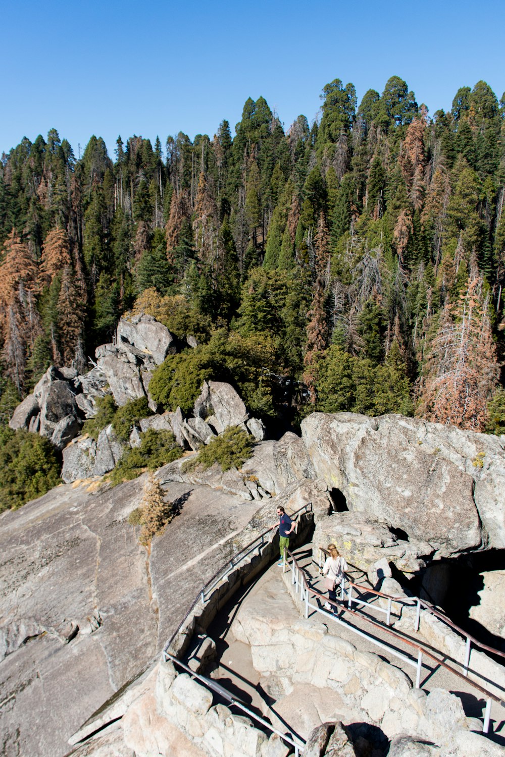 Fotografía de las Montañas Rocosas