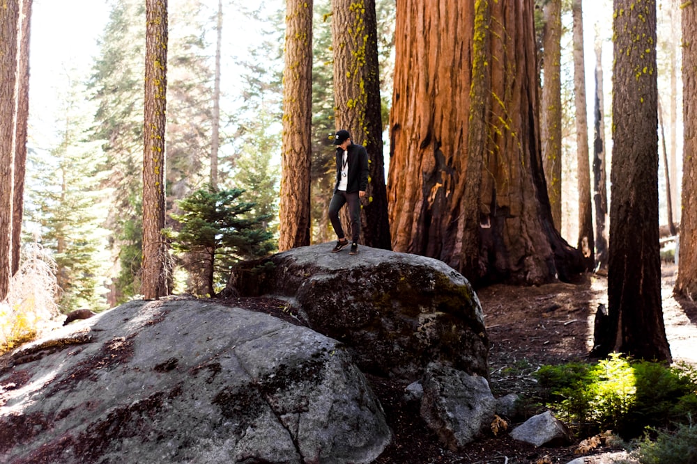 man standing on big rock looking down surrounded with tall and green trees