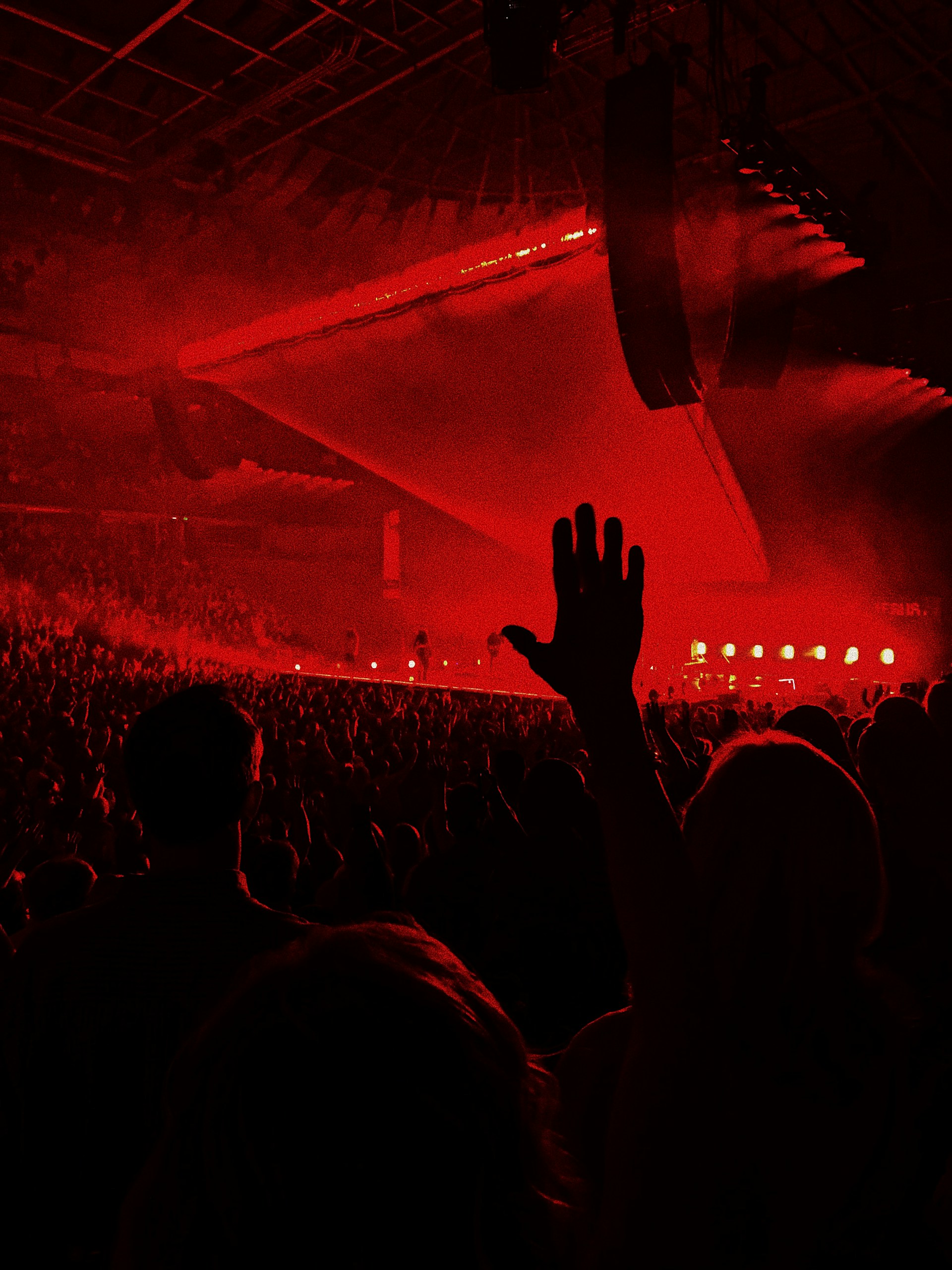 people on the concert photography
