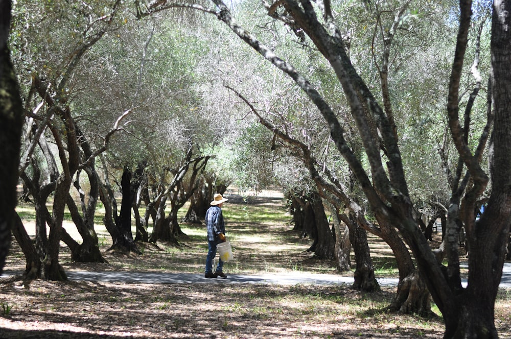 man standing between trees