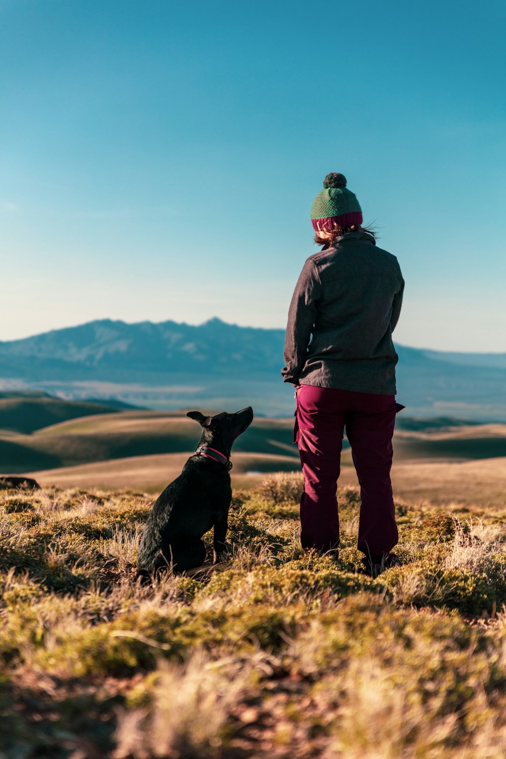 Personne debout près d’un chien noir pendant la journée